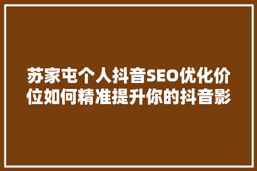 苏家屯个人抖音SEO优化价位如何精准提升你的抖音影响力