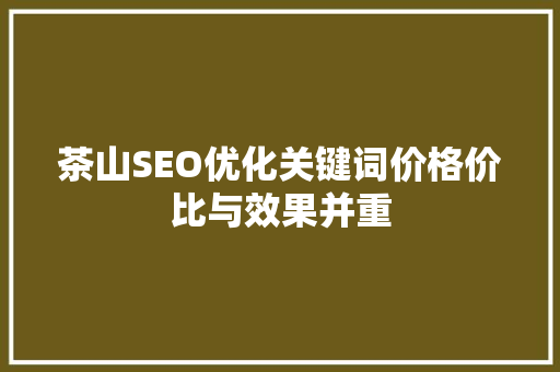 茶山SEO优化关键词价格价比与效果并重