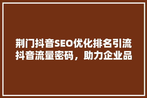 荆门抖音SEO优化排名引流抖音流量密码，助力企业品牌腾飞