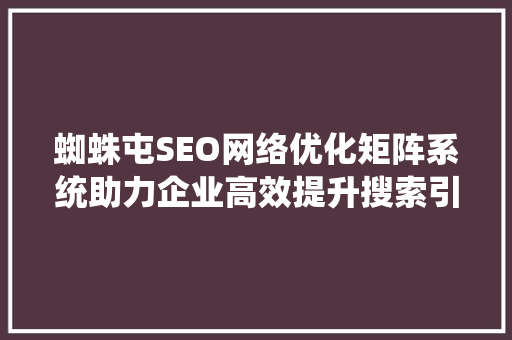 蜘蛛屯SEO网络优化矩阵系统助力企业高效提升搜索引擎排名
