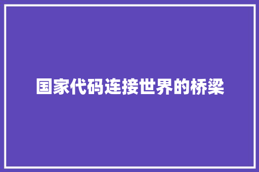 国家代码连接世界的桥梁