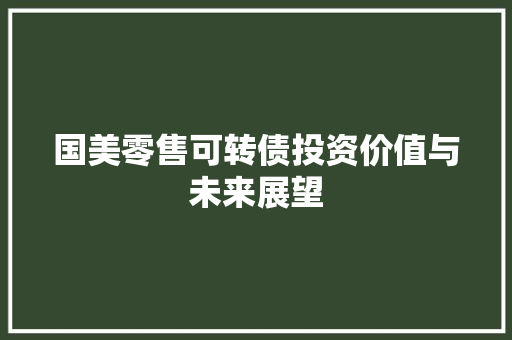 国美零售可转债投资价值与未来展望