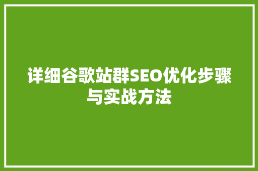 详细谷歌站群SEO优化步骤与实战方法