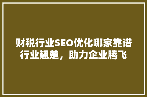 财税行业SEO优化哪家靠谱行业翘楚，助力企业腾飞