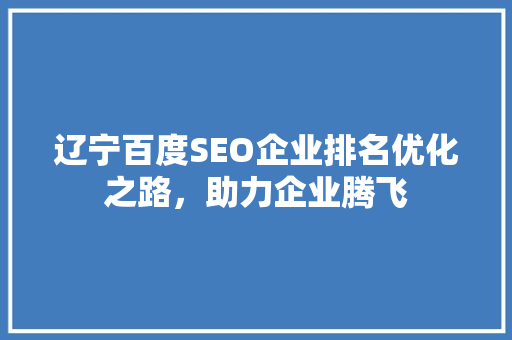 辽宁百度SEO企业排名优化之路，助力企业腾飞