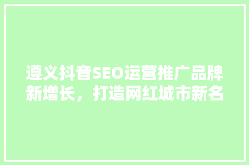 遵义抖音SEO运营推广品牌新增长，打造网红城市新名片  第1张