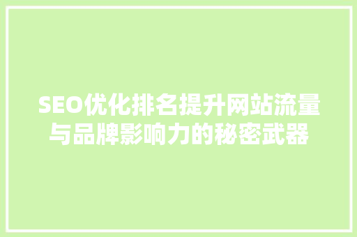 SEO优化排名提升网站流量与品牌影响力的秘密武器