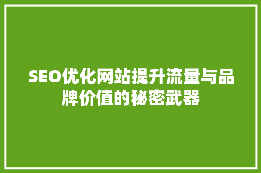 SEO优化网站提升流量与品牌价值的秘密武器