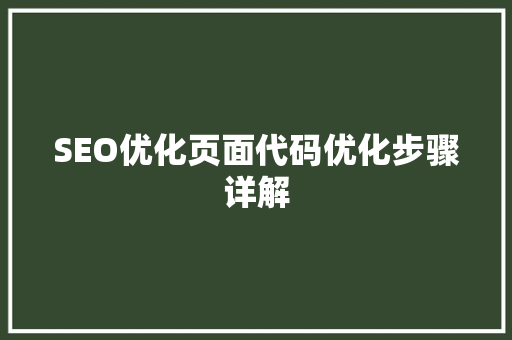 SEO优化页面代码优化步骤详解