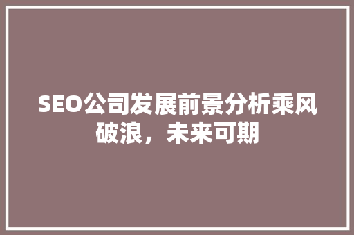 SEO公司发展前景分析乘风破浪，未来可期