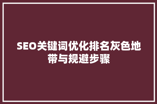 SEO关键词优化排名灰色地带与规避步骤