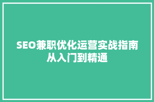 SEO兼职优化运营实战指南从入门到精通