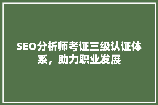 SEO分析师考证三级认证体系，助力职业发展