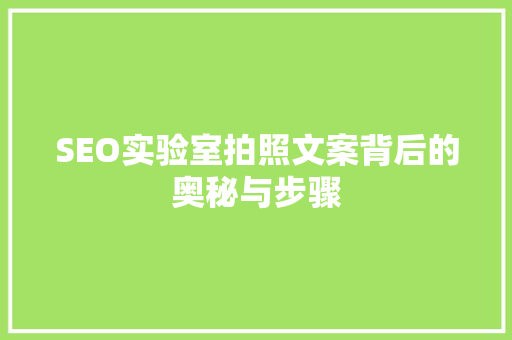 SEO实验室拍照文案背后的奥秘与步骤