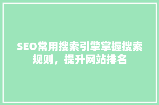 SEO常用搜索引擎掌握搜索规则，提升网站排名