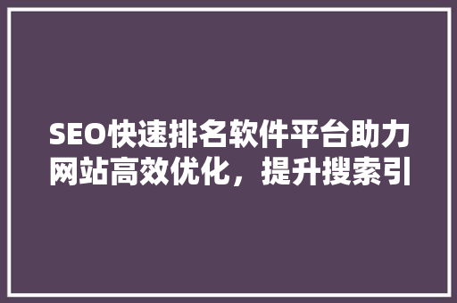 SEO快速排名软件平台助力网站高效优化，提升搜索引擎排名