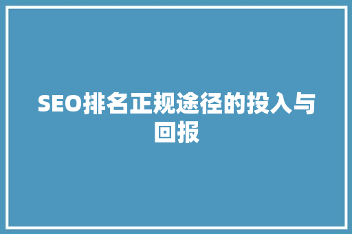 SEO排名正规途径的投入与回报