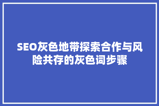 SEO灰色地带探索合作与风险共存的灰色词步骤