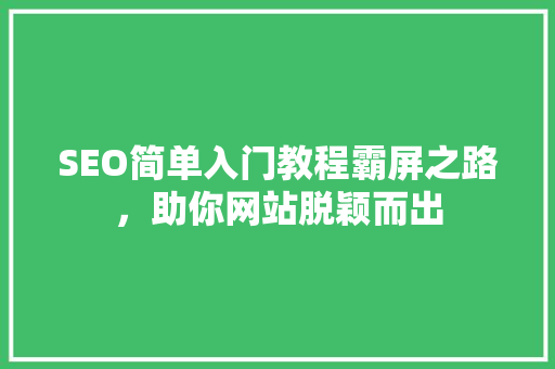 SEO简单入门教程霸屏之路，助你网站脱颖而出