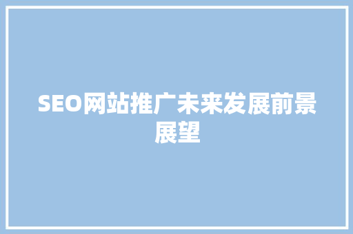 SEO网站推广未来发展前景展望