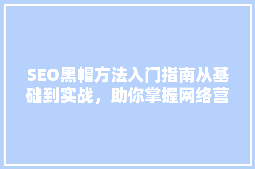 SEO黑帽方法入门指南从基础到实战，助你掌握网络营销奥秘