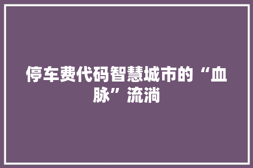 停车费代码智慧城市的“血脉”流淌