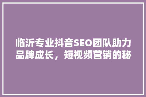 临沂专业抖音SEO团队助力品牌成长，短视频营销的秘密武器