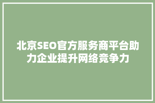 北京SEO官方服务商平台助力企业提升网络竞争力
