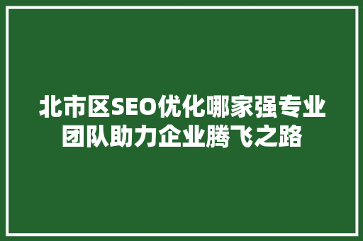北市区SEO优化哪家强专业团队助力企业腾飞之路