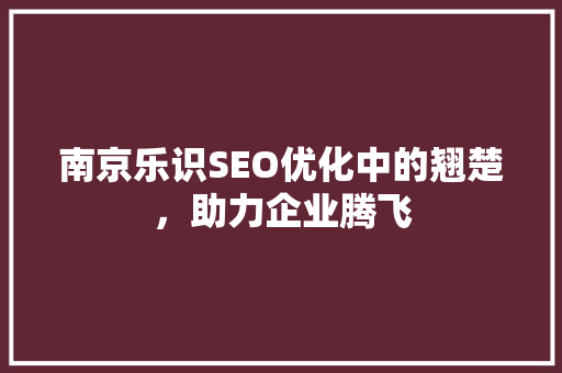 南京乐识SEO优化中的翘楚，助力企业腾飞