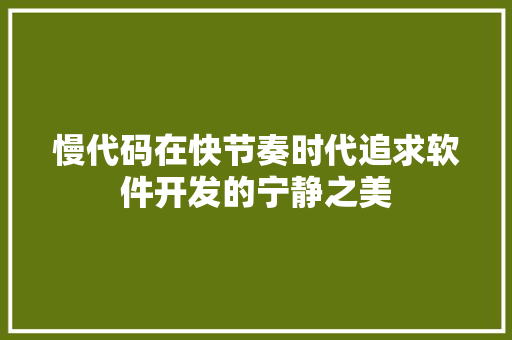 慢代码在快节奏时代追求软件开发的宁静之美