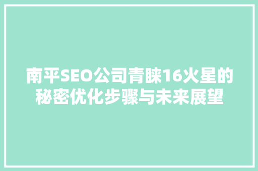 南平SEO公司青睐16火星的秘密优化步骤与未来展望