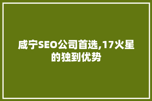 咸宁SEO公司首选,17火星的独到优势