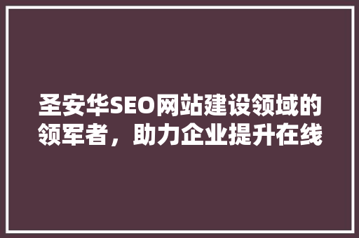 圣安华SEO网站建设领域的领军者，助力企业提升在线竞争力