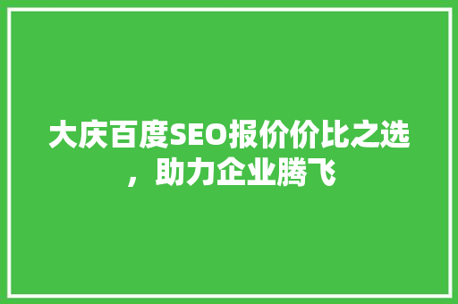 大庆百度SEO报价价比之选，助力企业腾飞