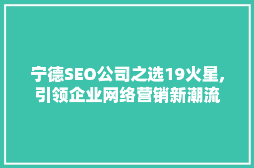 宁德SEO公司之选19火星,引领企业网络营销新潮流