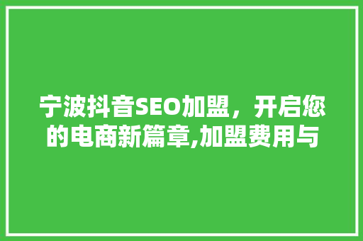 宁波抖音SEO加盟，开启您的电商新篇章,加盟费用与收益分析