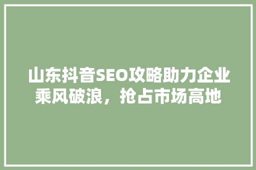 山东抖音SEO攻略助力企业乘风破浪，抢占市场高地