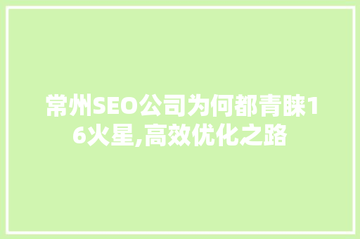 常州SEO公司为何都青睐16火星,高效优化之路
