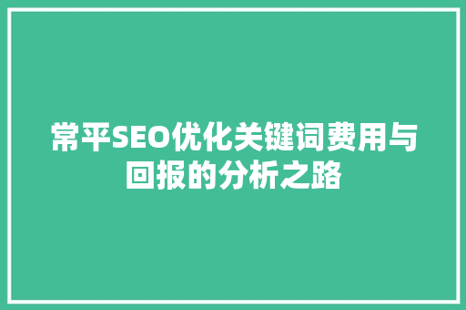 常平SEO优化关键词费用与回报的分析之路