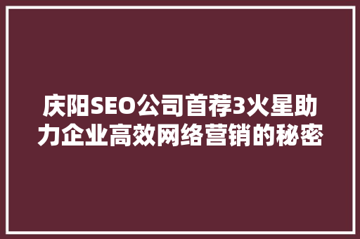 庆阳SEO公司首荐3火星助力企业高效网络营销的秘密武器  第1张