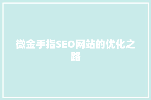 微金手指SEO网站的优化之路