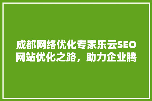 成都网络优化专家乐云SEO网站优化之路，助力企业腾飞