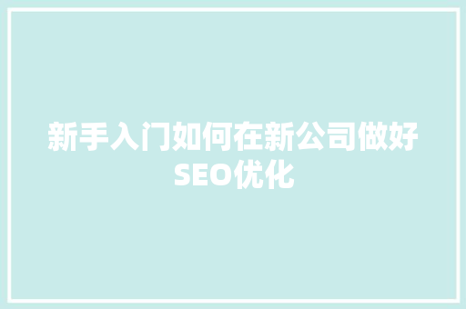 新手入门如何在新公司做好SEO优化