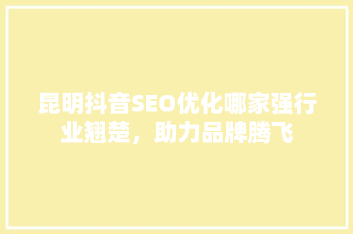 昆明抖音SEO优化哪家强行业翘楚，助力品牌腾飞