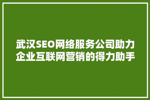 武汉SEO网络服务公司助力企业互联网营销的得力助手