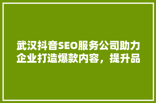 武汉抖音SEO服务公司助力企业打造爆款内容，提升品牌影响力