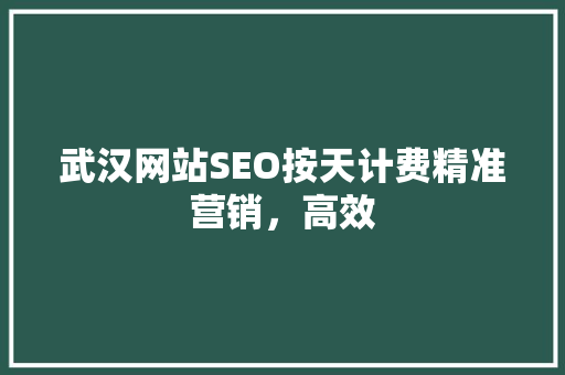 武汉网站SEO按天计费精准营销，高效
