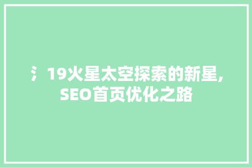 氵19火星太空探索的新星,SEO首页优化之路