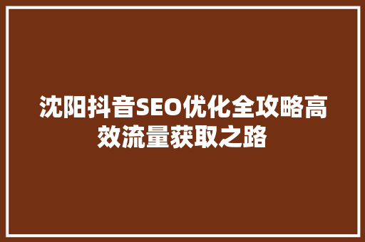 沈阳抖音SEO优化全攻略高效流量获取之路